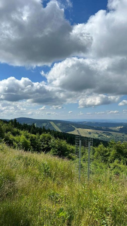 Ubytovani U Potoka Дештне в Орлицких горах Экстерьер фото
